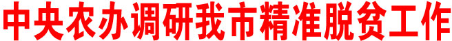 中央農(nóng)辦調(diào)研商洛市精準(zhǔn)脫貧工作