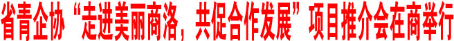 省青企協“走進美麗商洛，共促合作發展”項目推介會在商舉行