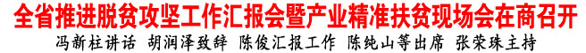全省推進脫貧攻堅工作匯報會暨產(chǎn)業(yè)精準(zhǔn)扶貧現(xiàn)場會在商召開