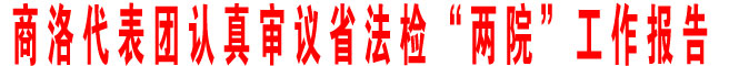商洛代表團(tuán)認(rèn)真審議省法檢“兩院”工作報(bào)告