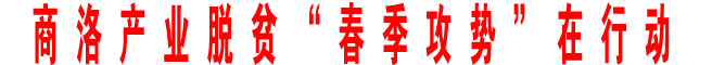 商洛產(chǎn)業(yè)脫貧“春季攻勢(shì)”在行動(dòng)