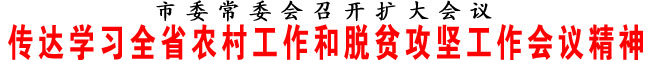 傳達(dá)學(xué)習(xí)全省農(nóng)村工作和脫貧攻堅(jiān)工作會(huì)議精神