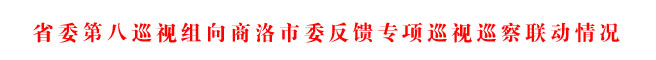 省委第八巡視組向商洛市委反饋專項巡視巡察聯(lián)動情況