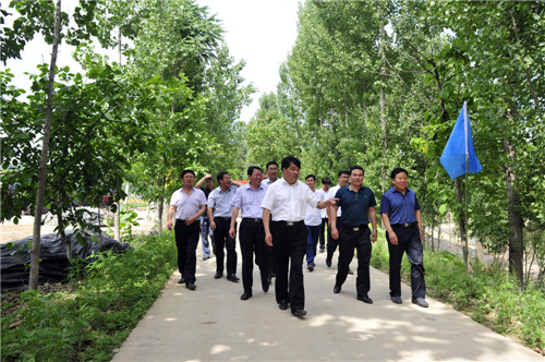 洛南縣重大項目觀摩