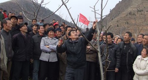 林業科技服務隊深入鄉村辦培訓