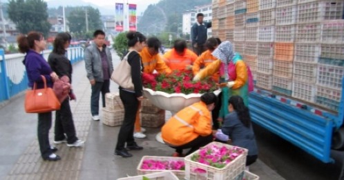 市政處精心為四國籃球賽營造良好城市環境