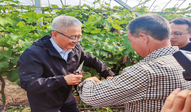 專家到田間 科技促發展