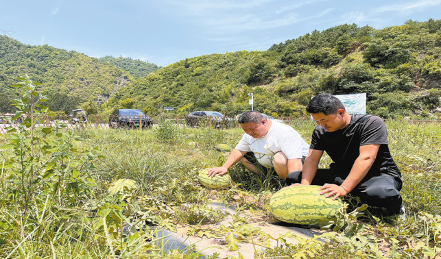 段灣村 農文旅融出好光景