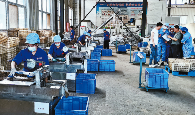 雨丹攜手打造中醫藥產業鏈新高地