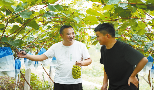 洲河北村 優化產業布局