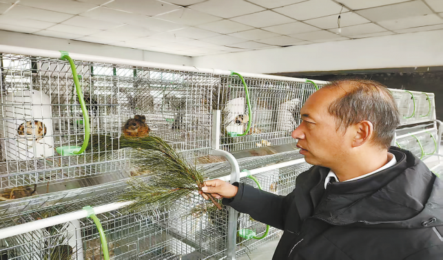 蔡川鎮:鼯鼠成為“致富寶”