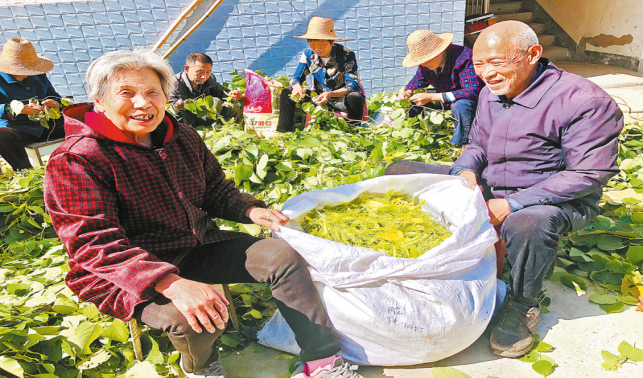 發展產業促振興