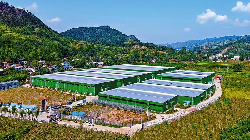 重大項目成為山陽經(jīng)濟發(fā)展的強勁引擎和重要支撐