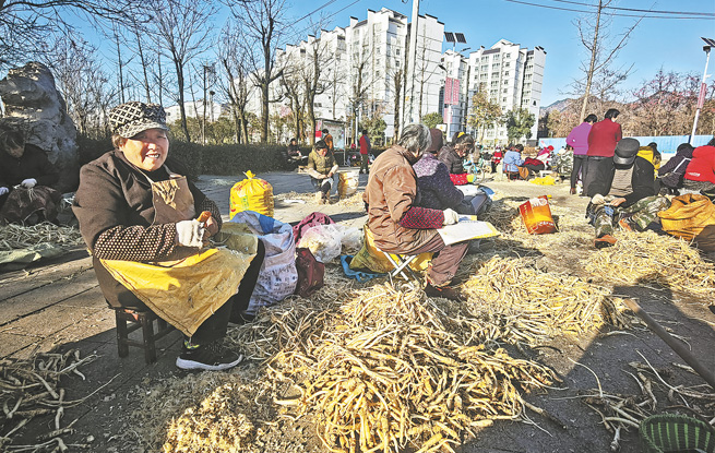 發展特色產業 促進群眾增收