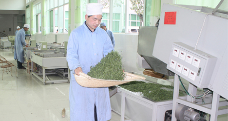 商南縣茶葉加工產值達2億