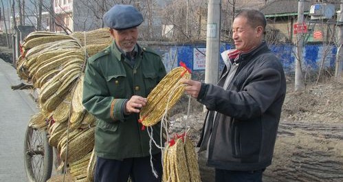 商州區群眾利用麥秸稈編織草帽辮子搞創收
