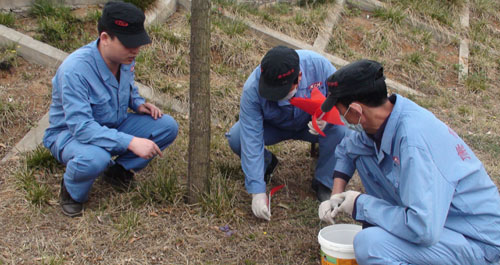 丹鳳對丹江河綠地進行專業病媒生物消殺