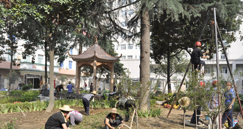 鎮安縣醫院綠地布局花壇建設完工