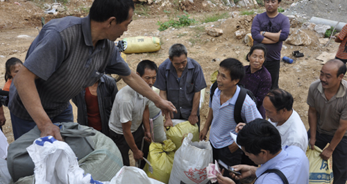 米糧鎮五味子喜獲豐收