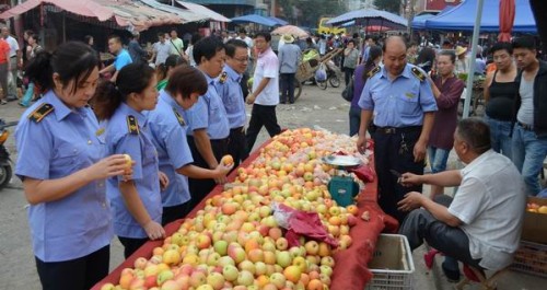 洛南縣植保植檢站開展果品市場檢疫