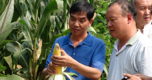 商南縣農業局二十一名干部深入十里坪