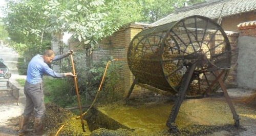 核桃脫皮機在洛南大顯身手