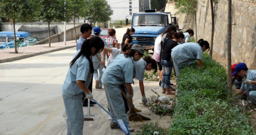 鎮安青槐社區確保城區創園工作快速順利進行