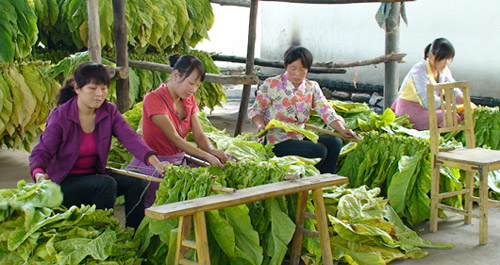 謝灣鎮(zhèn)動員育齡婦女參加“五大產(chǎn)業(yè)”競賽活動