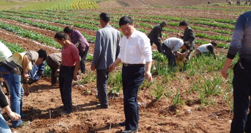 景村鎮百名干部走出機關和群眾一起忙秋播