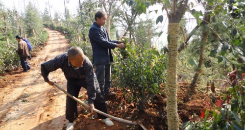 龜山公園二期已完成總工程量百分之七十