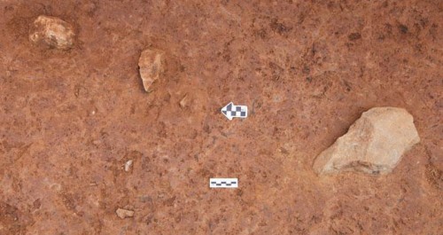 洛南張豁口舊石器地點發掘取得重要突破