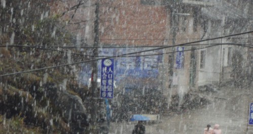 丹鳳北部各鎮普降大雪