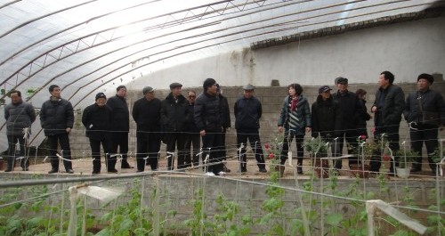 丹鳳縣老干局組織離退休老干部觀摩重點(diǎn)項(xiàng)目