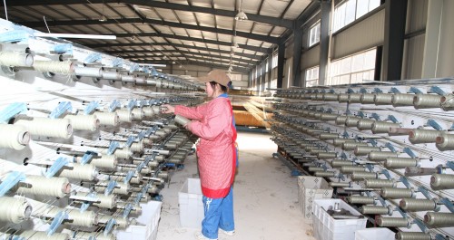 鎮安強力推進縣域工業集中區建設