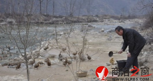 米糧鎮做強紅心鴨蛋產業