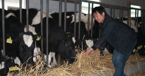 洋橋村的循環產業鏈