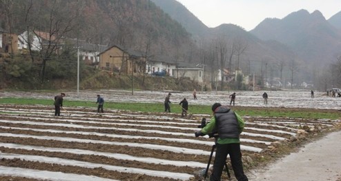 中央電視臺現場直播商州春耕生產