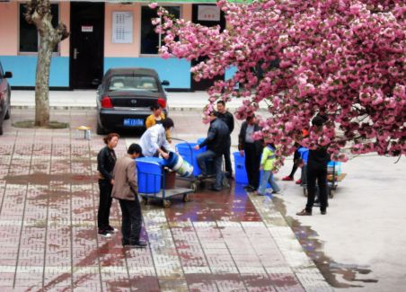 鳳鎮街村啟動自來水改造工程