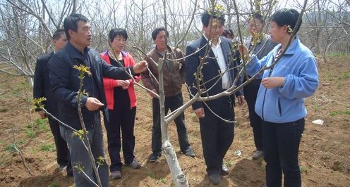 專家到商州現場指導救災