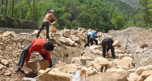 銀花鎮葉家灣村組織勞力搶修護田河堤