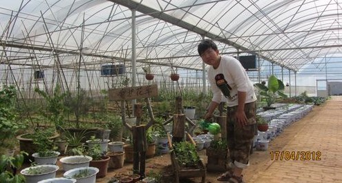 夜村鎮綠緣設施蔬菜大棚基地實行綜合農業開發