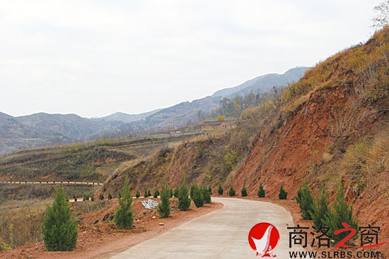 已經(jīng)完成普修的王山底至會峪公路，兩旁栽植了青翠的松柏行道樹。