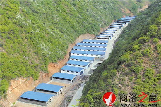 位于牛耳川大山深處的生態(tài)養(yǎng)牛場