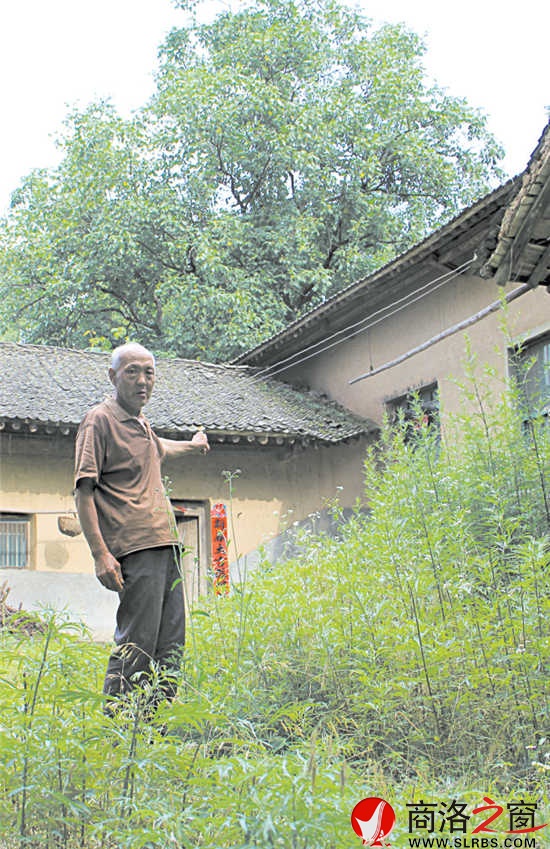 在村里，十有八九的農(nóng)家院落已長滿了蒿草。留守在村里的人路過這些院落，會(huì)不由自主地想起院落主人。