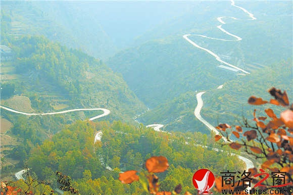 通往姬家河的鄉村公路蜿蜒在綠海中，行走其中，就是一種享受。