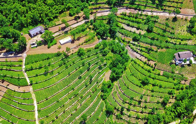 中國康養旅游強縣 中國康養宜居福縣