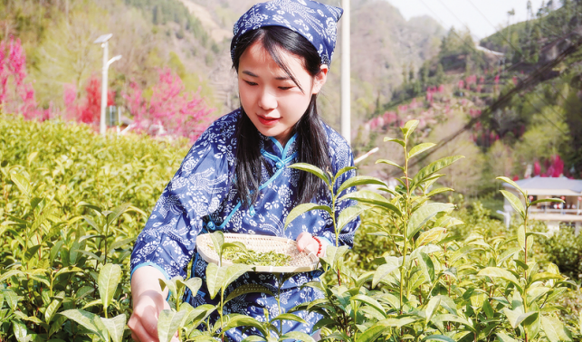 “我想為家鄉(xiāng)發(fā)展盡一份力”