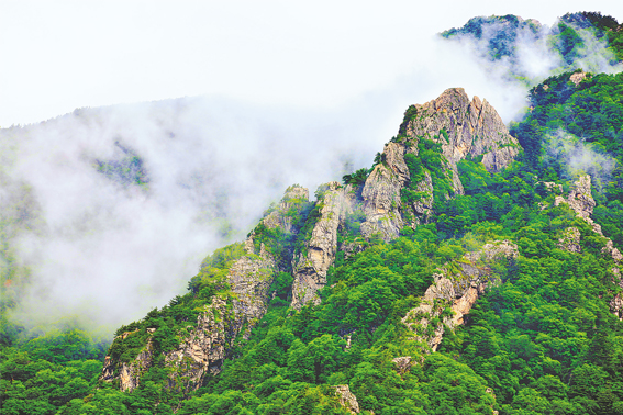 22℃商洛康養名片——牛背梁
