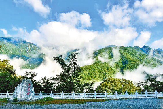 執“綠”為筆 描繪生態柞水新畫卷